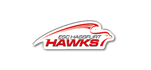 Hawks logo